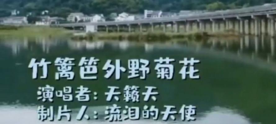 寻找心灵的宁静（美妙声音引领我走向幸福）