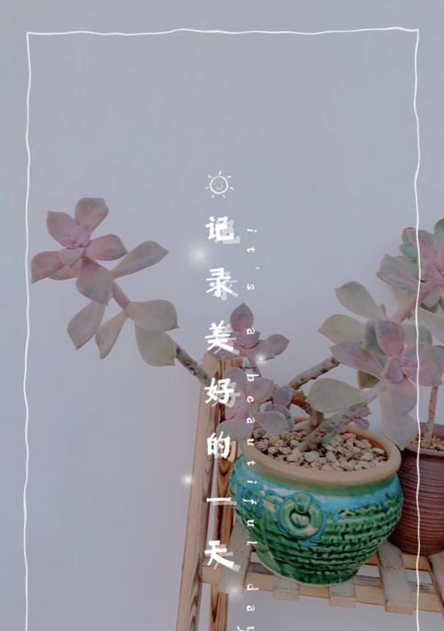 “充实的一天”——她不经意地走进了我的生命