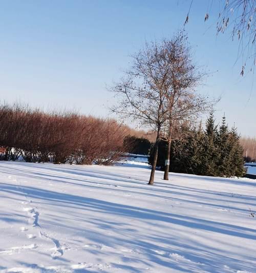 雪地上的温暖（塞北冬天，一段让人泪目的故事）