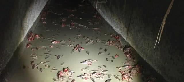 静静地躺在路边——水沟的故事（一个被人忽略的背影）