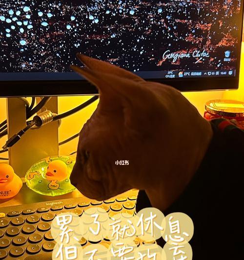 坚持到底，不要放弃（勇往直前，只为未来）