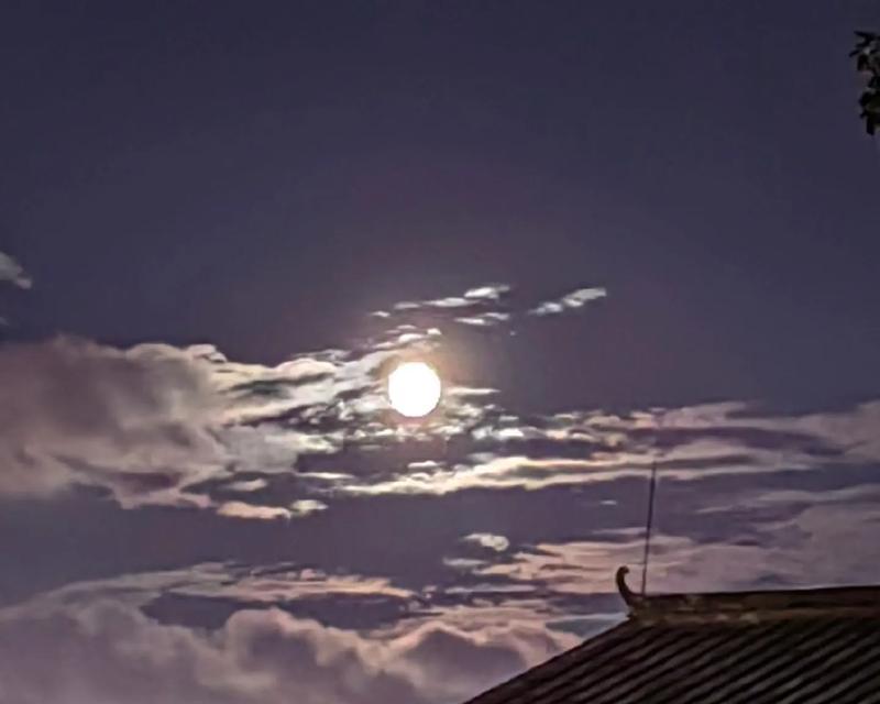 月下重逢（一个人的中秋之夜）