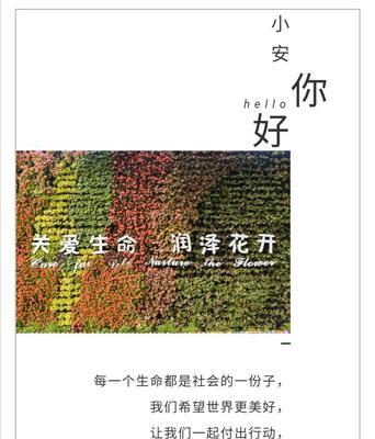 陪我走过的岁月（那些永不消逝的回忆）