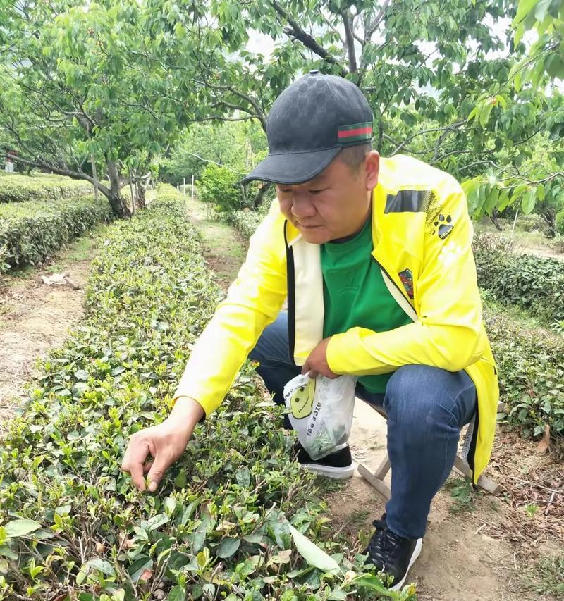 小快乐（人生如此短暂，何不寻找每一个小快乐呢？）