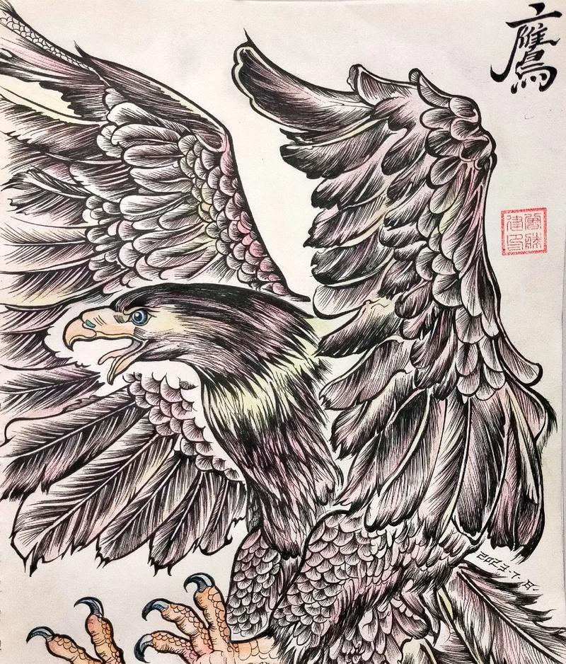 翱翔天际的雄鹰（一只勇敢而自由的灵魂）
