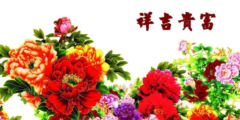 宽容如艳阳（宽容之美，生命之光）