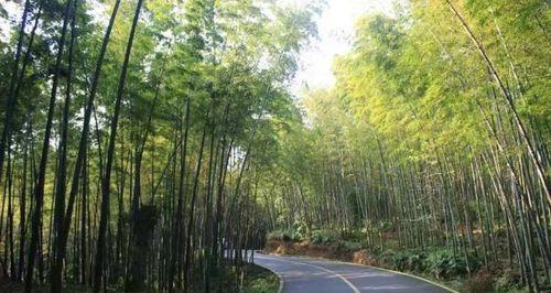 清新空气，健康生活（一个环保者的故事）