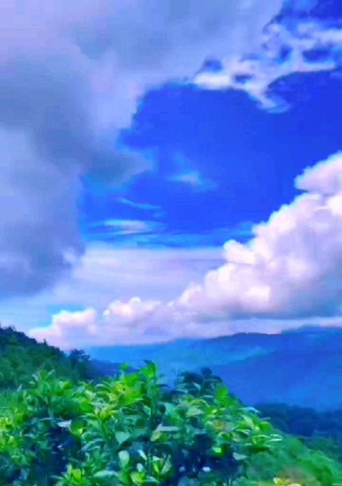 海棠花下的美好时光（一段美好的回忆）