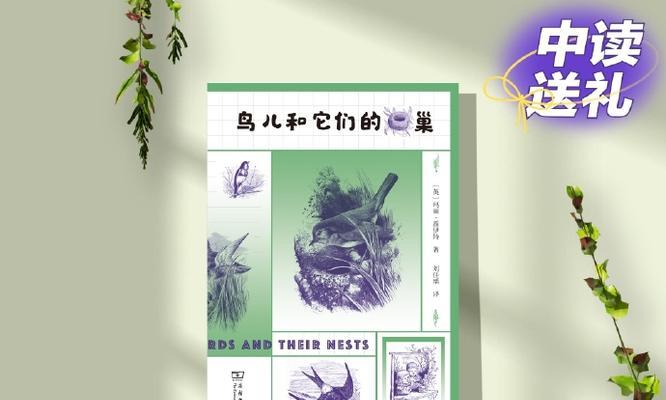 回忆中的宝藏（探寻失落的记忆）