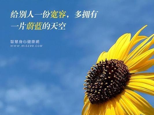一位老太太的教诲（一位老太太的教诲）