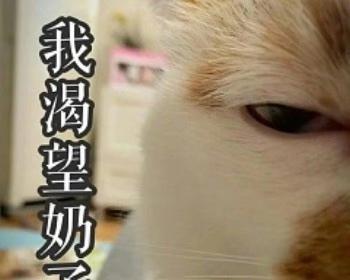 渴望得到成功的人生之路（坚持不懈的努力，终将获得成功）