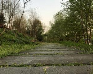 飞翔梦想的地方（一个小女孩的梦想与努力）