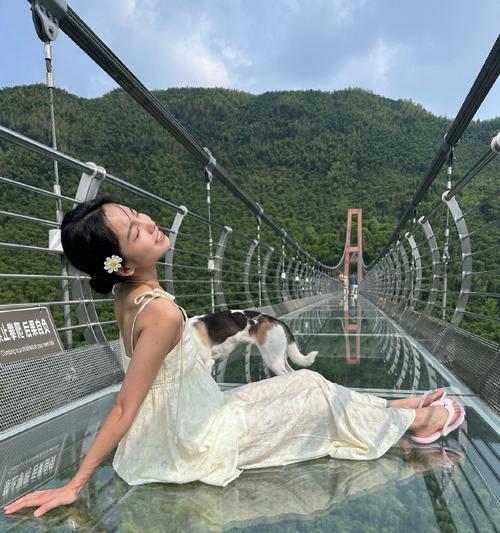 沙漠中的意外（一场生死冒险）