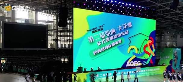 实现梦想的艰辛路程（一位年轻人的奋斗之路）