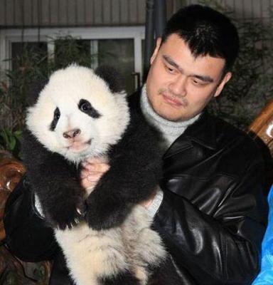 小狗的忠诚与感恩（一个动人心弦的故事）