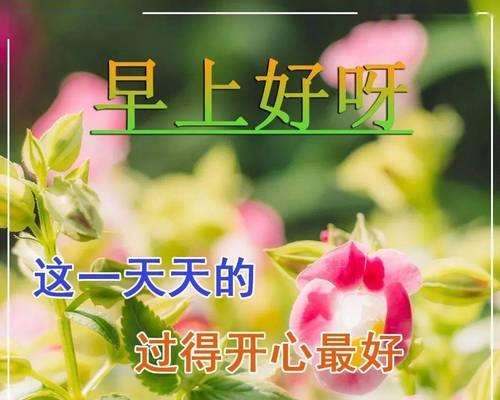 飞蛾扑火（勇气与生命的交织）