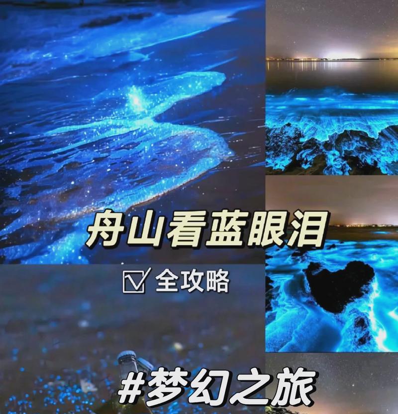 我的青春不留遗憾（我的青春不留遗憾）
