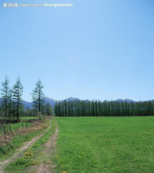 美丽的田野——青春的宣言