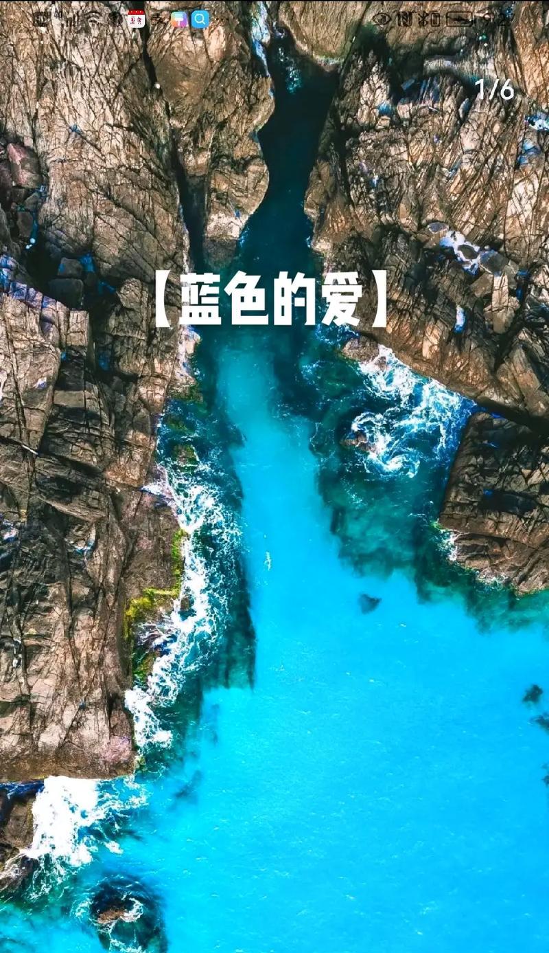 静听自然之歌（听大自然吟唱，领悟生命的意义）