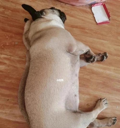 生活其实就是这样