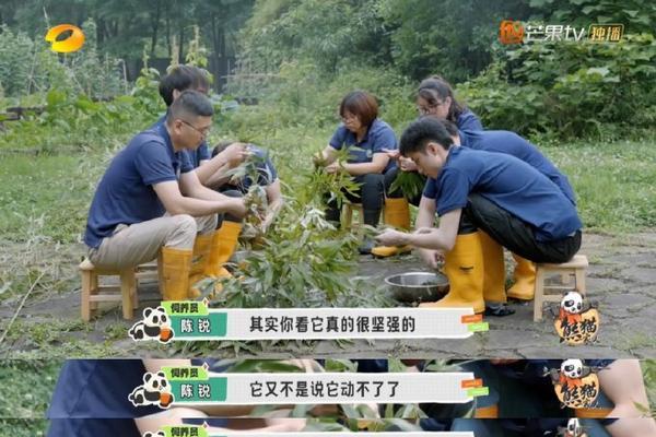 一位普普通通的老师，却有着非凡的风采（一位普普通通的老师，却有着非凡的风采）