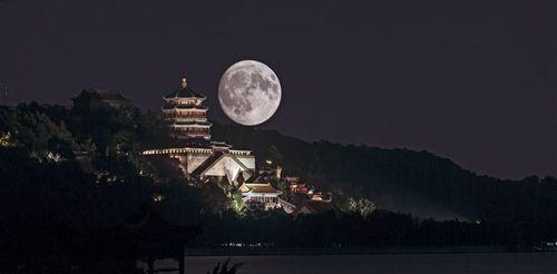 思念故乡的月亮（跨越千里的寻觅，一颗流浪者的返乡心愿）