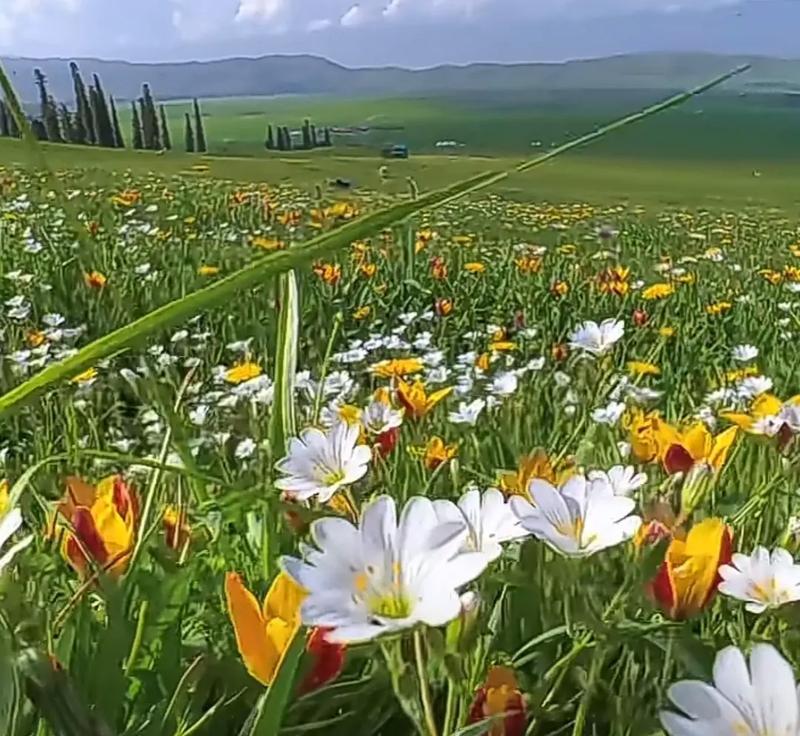 TheScenicJourney（ATaleofAdventureandBeautyAlongtheWay）