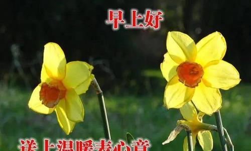 快乐人生路（开心快乐每一天）