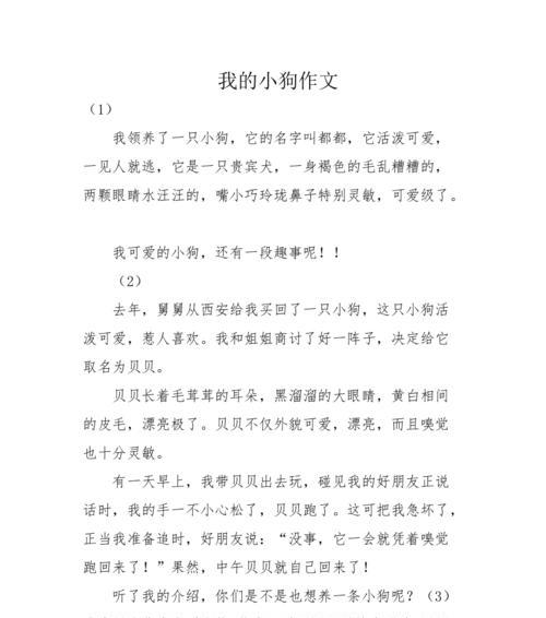 我爱小狗：我的毛茸茸的好朋友