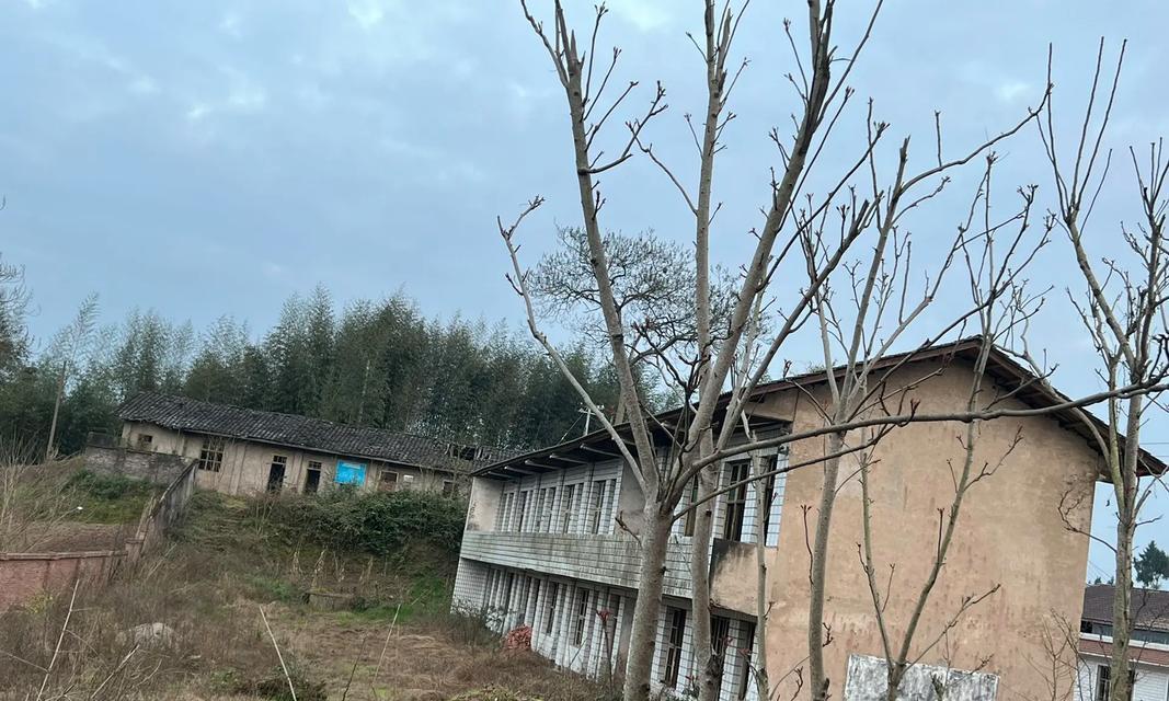 充满希望和活力的人生旅程（追梦路上的挑战与坚持）