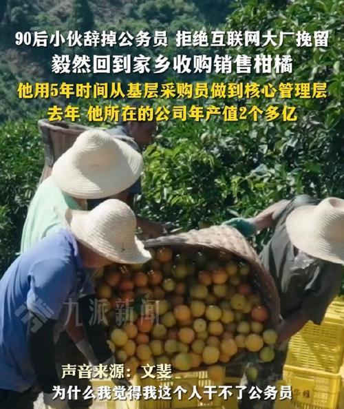 梦想如炬点亮前路（一个人为了实现自己的梦想所做的努力和坚持）