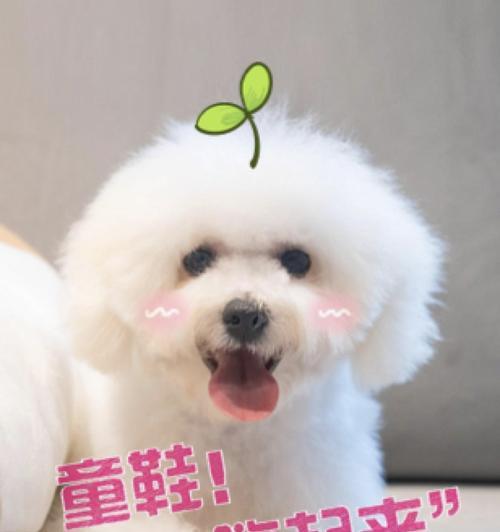 温暖的力量（从陌生到熟悉，从孤单到温馨，一个人的成长之路）