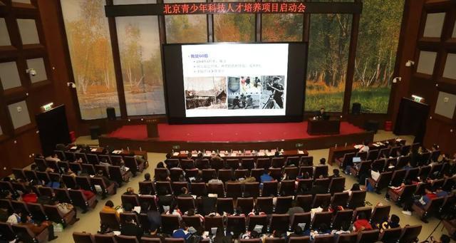 科学之翼（一位小学生的科学探索之旅）