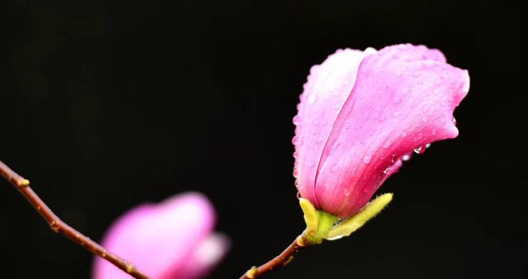 阳光下的美好回忆（以温暖为名，以难忘为目）