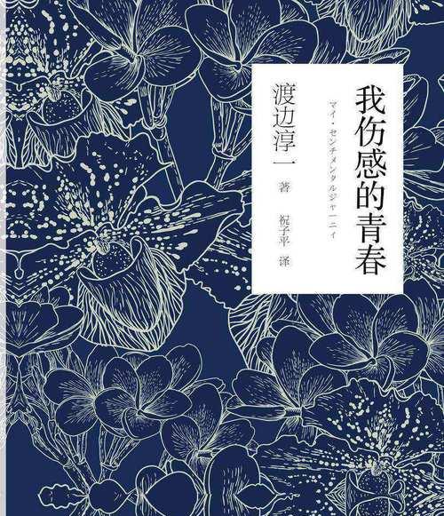 青春的轮回（成长的烦恼）