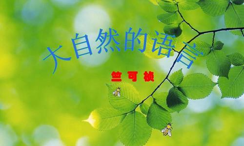 大自然的语言（在大自然中与生命对话）