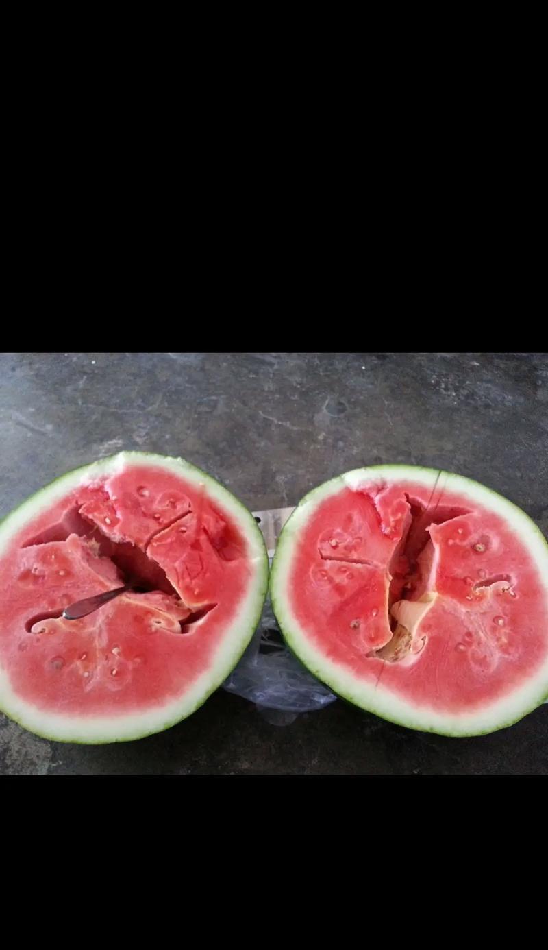 我爱故乡的西瓜（记忆中的夏天）