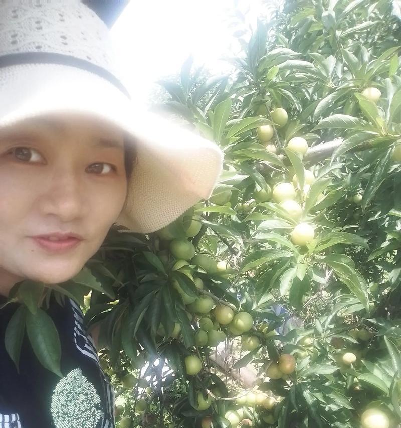 与大自然亲密接触——我与大自然的旅程（感受生命的美妙，体验自然的神秘）