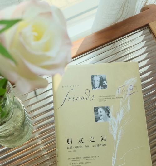 珍藏友谊——永远的宝藏