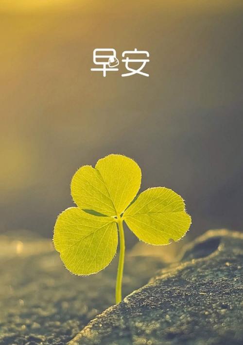 不屈不挠的奋斗（生活的自我挑战）