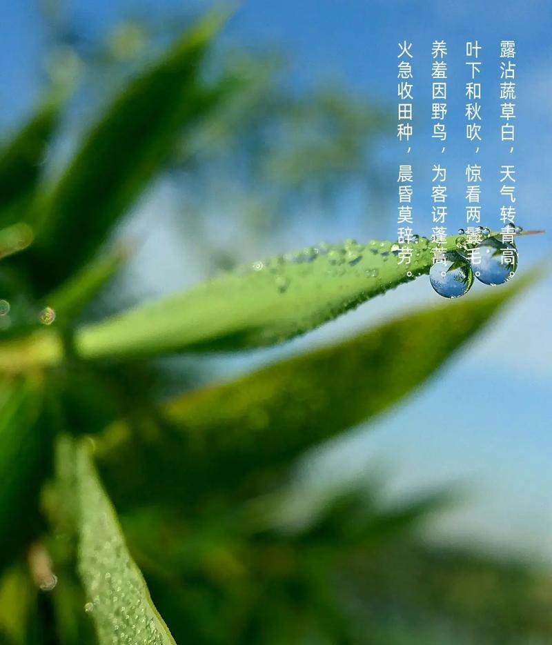 幸福之泉