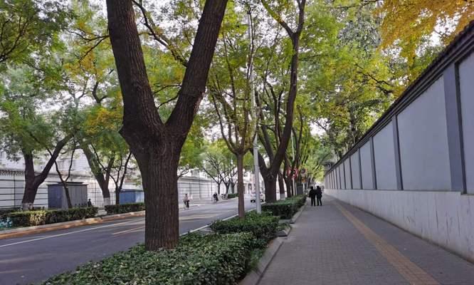 感恩的力量