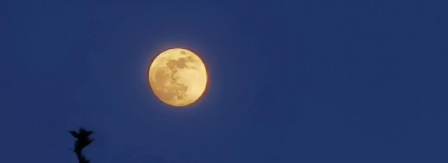 云海之上，月色如水（一个孩子的奇遇记）