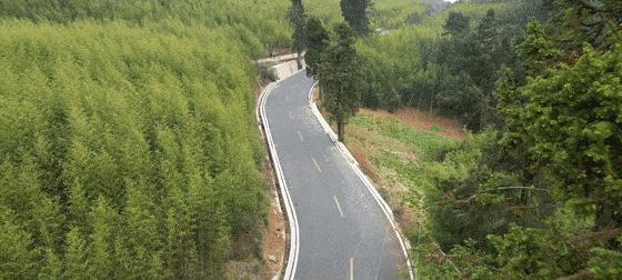 崭新的风景线（一场寻找美的旅程）