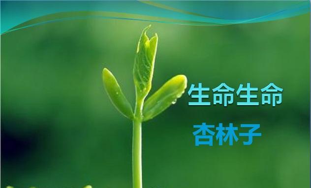 追寻真正的幸福（追寻真正的幸福）
