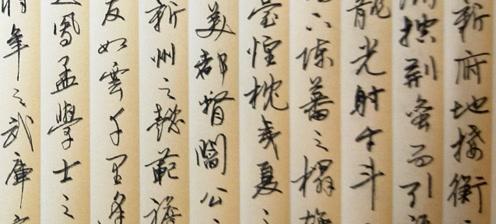 人生如骑行——积极的生活态度（一位乐观向上的女孩的故事）