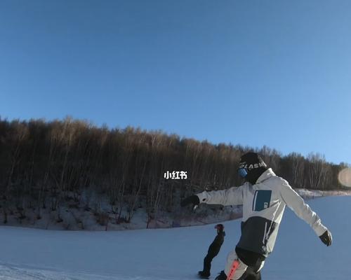 盼望冬天的到来（一个女孩的故事）
