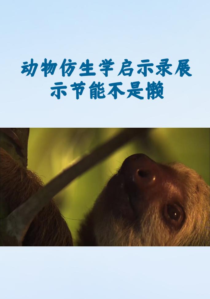 在动物的世界中成长（在动物的世界中成长）