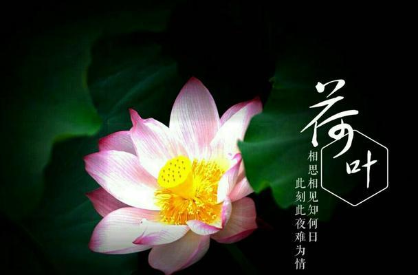 宽容的力量（从小事做起，展现伟大品质）