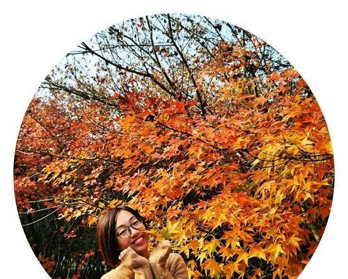 自然流畅、语言生动、文笔优美。